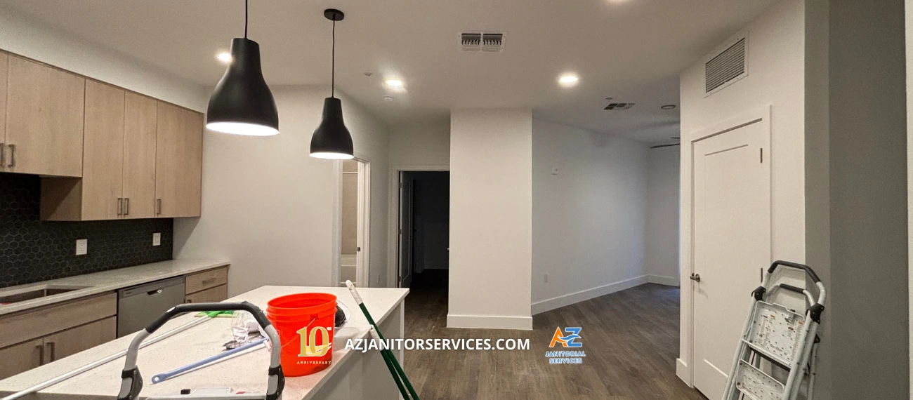 Professional Cleaning